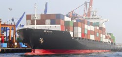 Sea Freight Forwarding Services